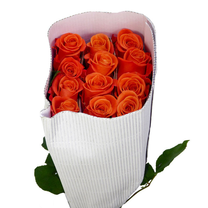 ROSA ECU ORANGE CRUSH 401