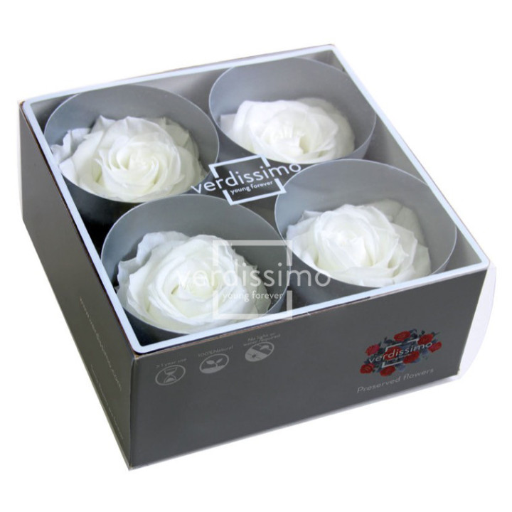ROSA PRESERVADA PREMIUM 4 UNID RSG/20002