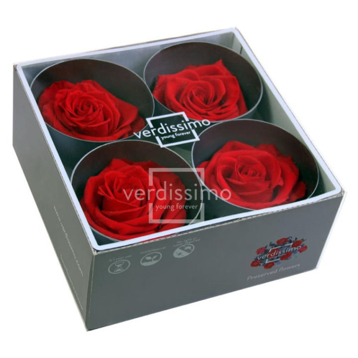 ROSA PRESERVADA PREMIUM 4 UNID RSG/22002