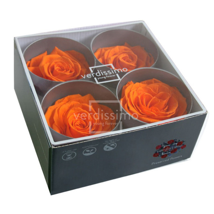 ROSA PRESERVADA PREMIUM 4 UNID RSG/25302