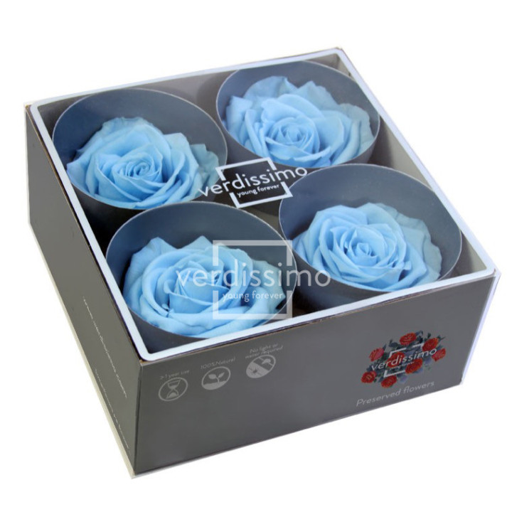 ROSA PRESERVADA PREMIUM 4 UNID RSG/26402