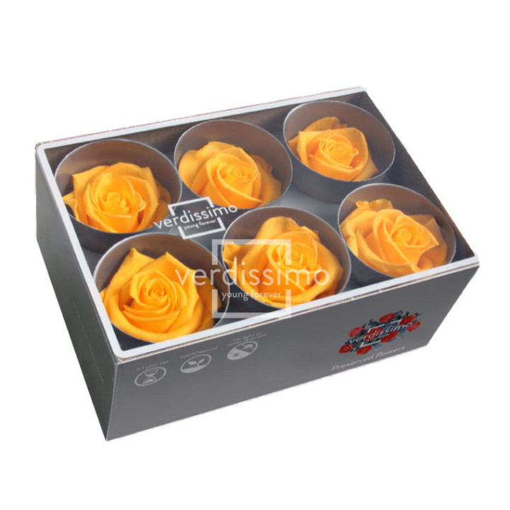 ROSA PRESERVADA STANDART 6 UNID RST/23502
