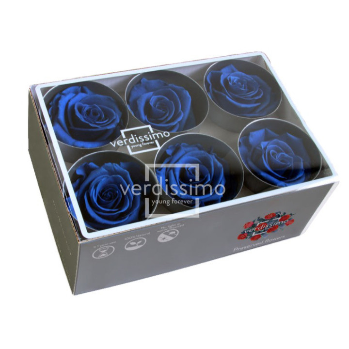 ROSA PRESERVADA STANDART 6 UNID RST/26302