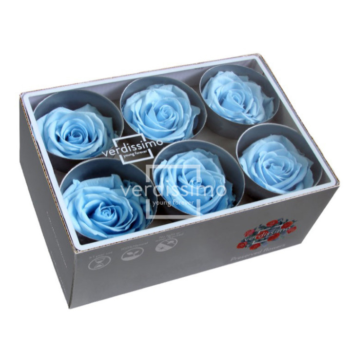 ROSA PRESERVADA STANDART 6 UNID RST/26402