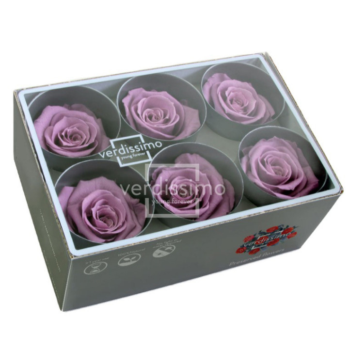 ROSA PRESERVADA STANDART 6 UNID RST/28302