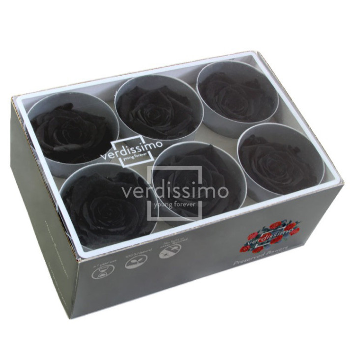 ROSA PRESERVADA STANDART 6 UNID RST/29902