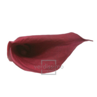 MINI CALA PRESERVADA BLACKBERRY MCL/58401