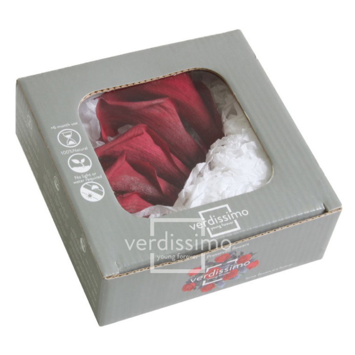 MINI CALA PRESERVADA BLACKBERRY MCL/58402
