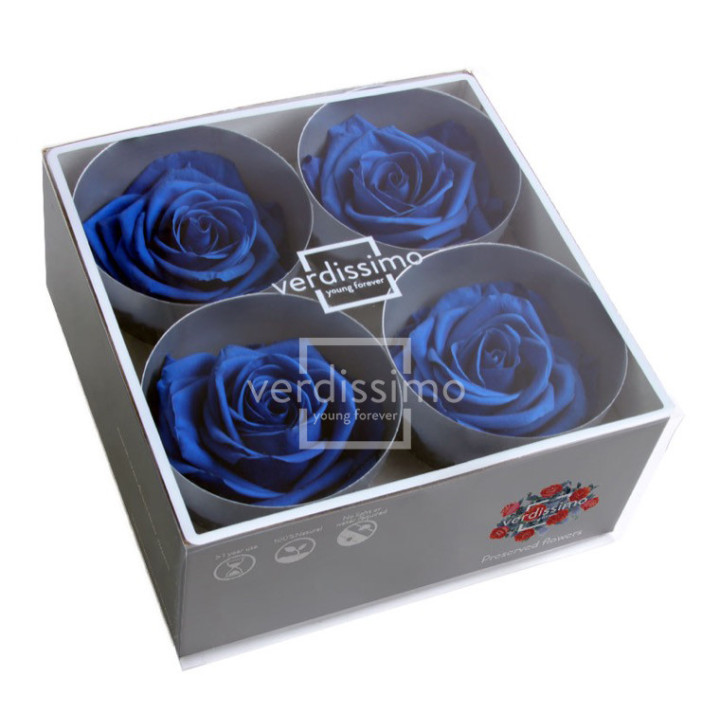 ROSA PRESERVADA PREMIUM 4 UNID RSG/26302