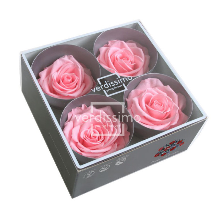 ROSA PRESERVADA PREMIUM 4 UNID RSG/24202