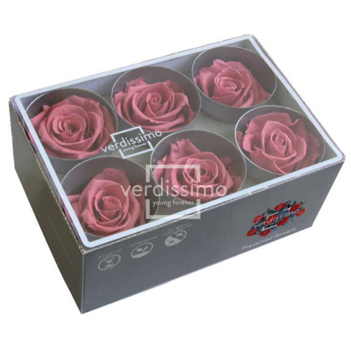 ROSA PRESERVADA STANDART 6 UNID RST/24802