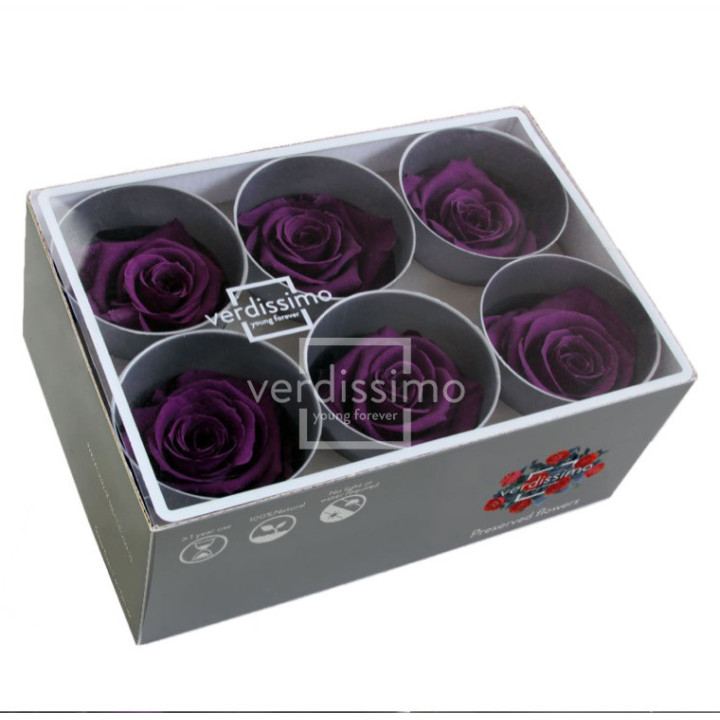 ROSA PRESERVADA STANDART 6 UNID RST/28402