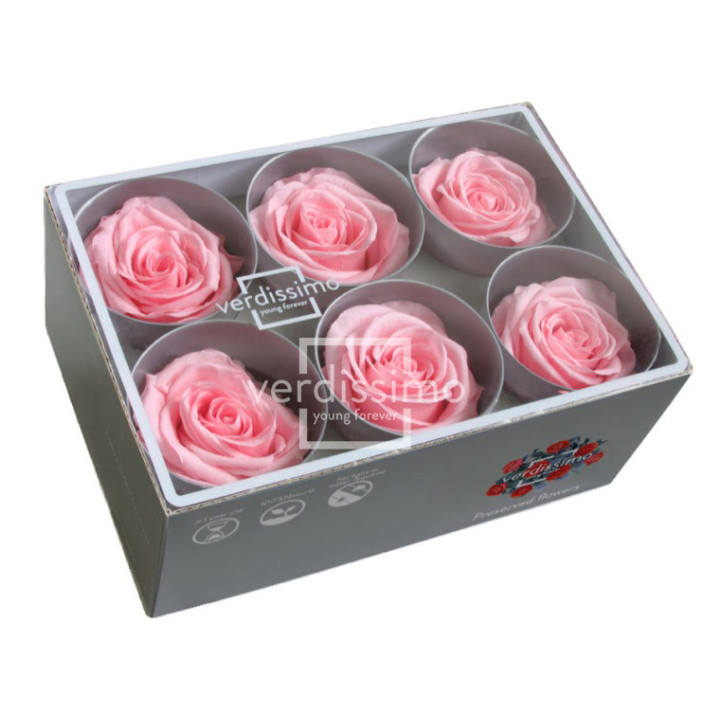ROSA PRESERVADA STANDART 6 UNID RST/24202