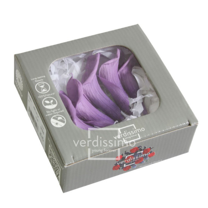 MINI CALA PRESERVADA LILA MCL/58303