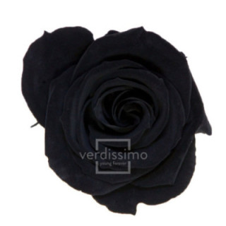 ROSA PRESERVADA MEDIA 8 UNID RME/39901