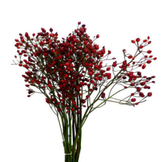 ROZENBOTTEL PRINSBERRY FIRE 601