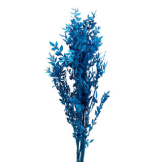 RUSCUS FINO PRESERVADO AZUL1