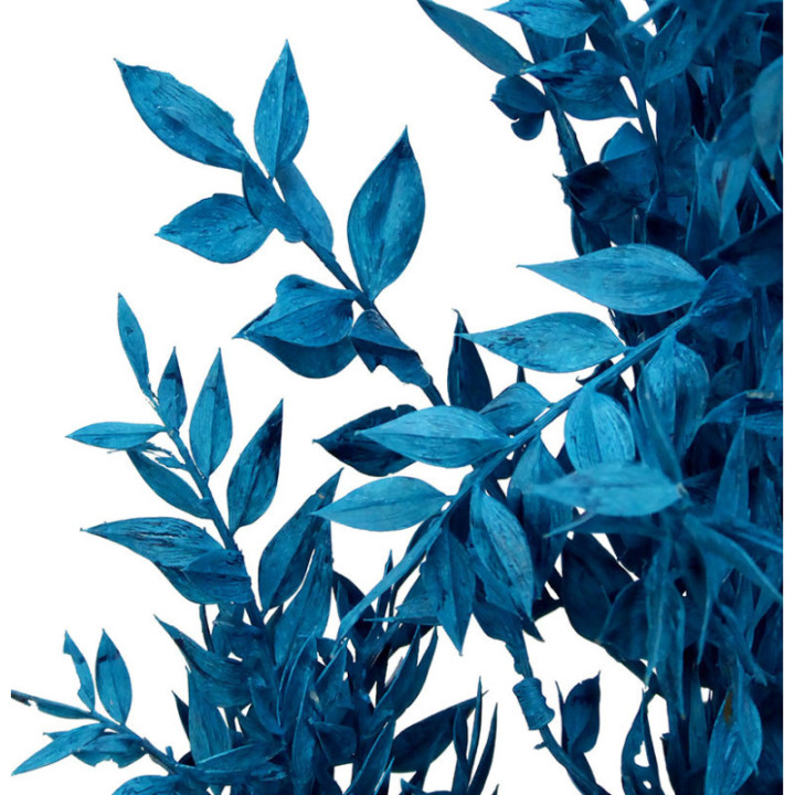 RUSCUS FINO PRESERVADO AZUL2