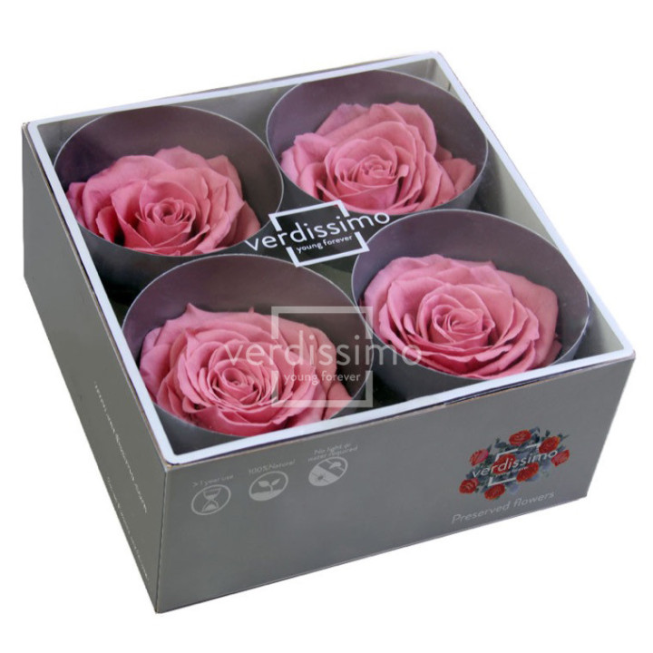 ROSA PRESERVADA PREMIUM 4 UNID RSG/24802