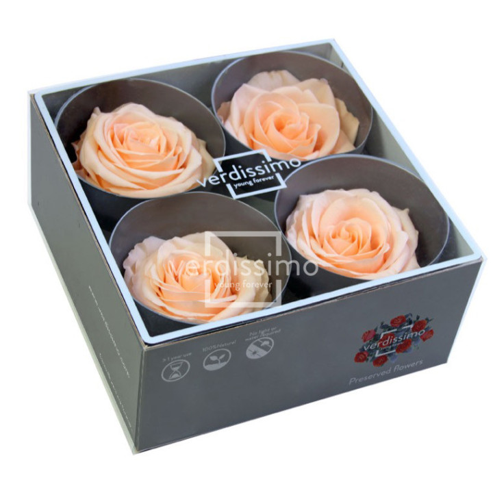 ROSA PRESERVADA PREMIUM 4 UNID RSG/25502