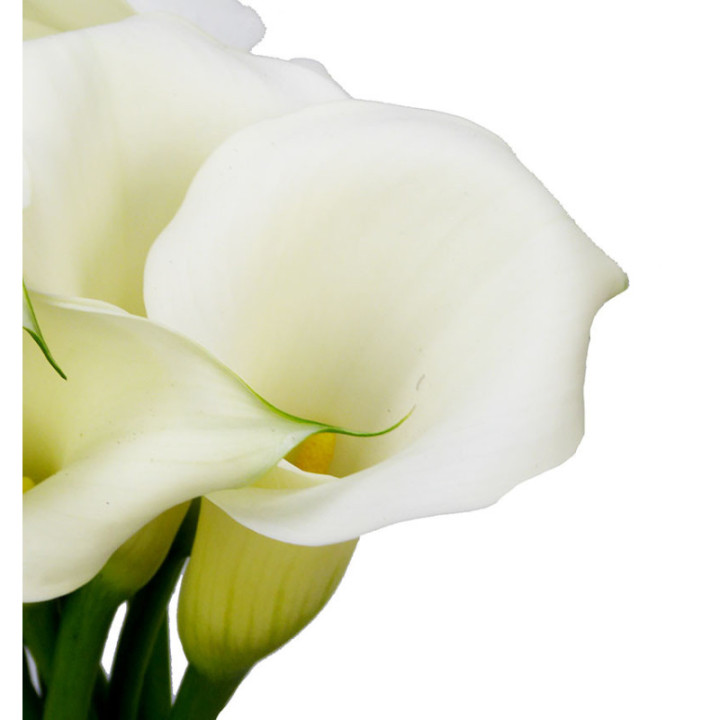 CALA WHITE ART 502