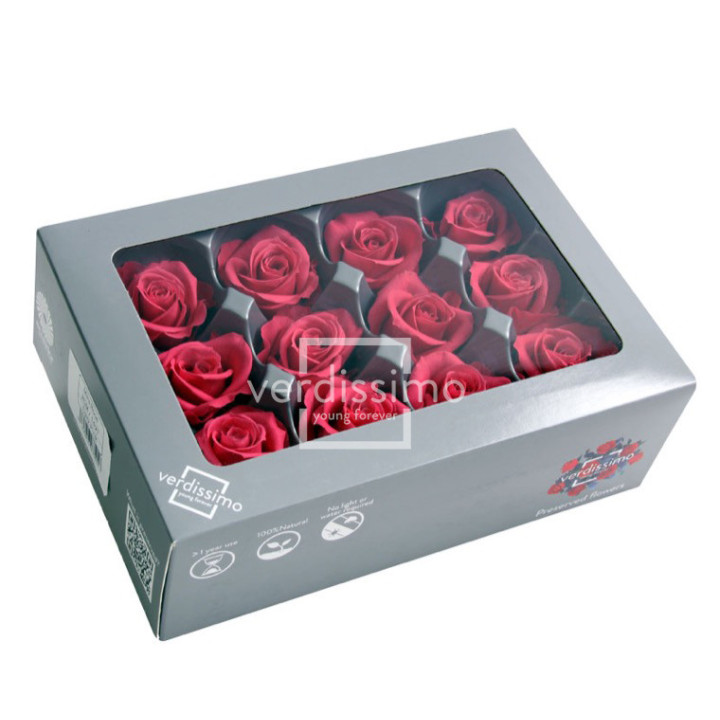 ROSA PRESERVADA MINI 12 UNID RSM/14902