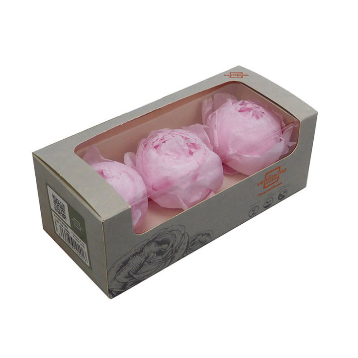 PEONIA PRESERVADO ROSA PEO/24201