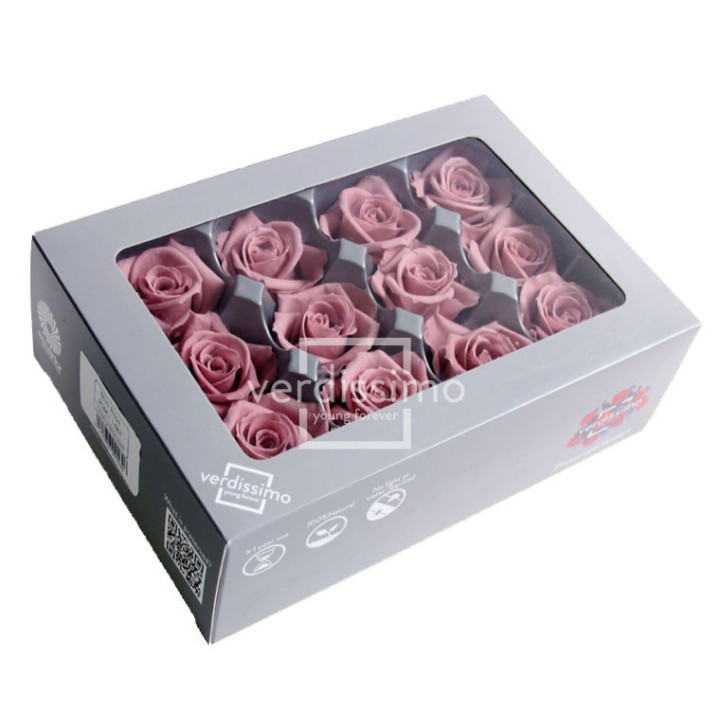 ROSA PRESERVADA MINI 12 UNID RSM/14801