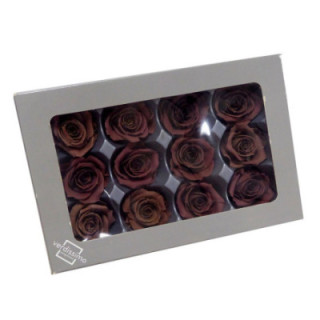 ROSA PRESERVADA MARRON X121