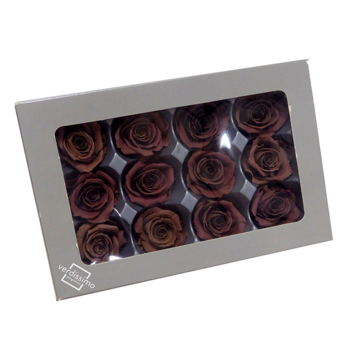 ROSA PRESERVADA MARRON X121