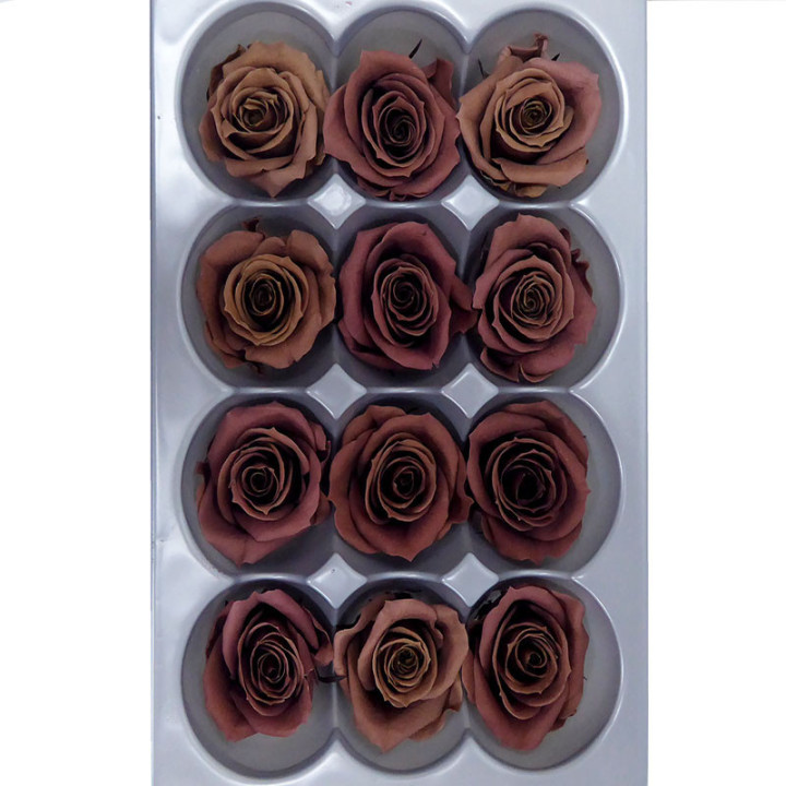 ROSA PRESERVADA MARRON X122