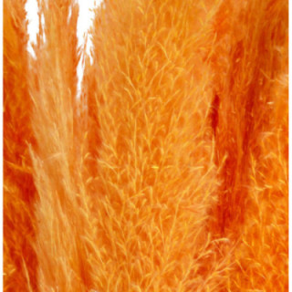 CORTADERIA SALMON 1201