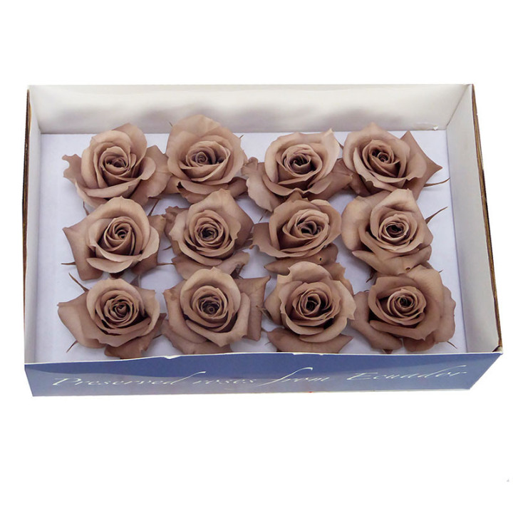 ROSA PRESERVADA LATTE 12 UNID1