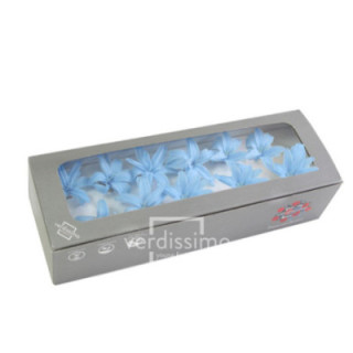 NARDOS PRESERVADO LIGHT BLUE NAR/16401