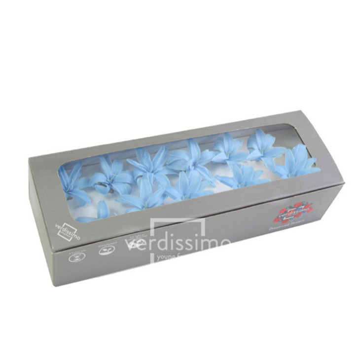 NARDOS PRESERVADO LIGHT BLUE NAR/16401