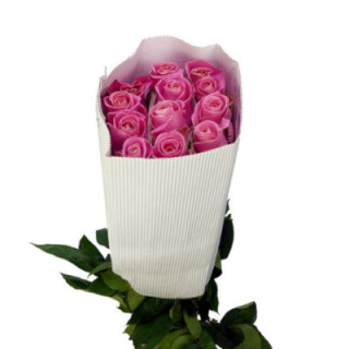 ROSA ECU HERMOSA 501