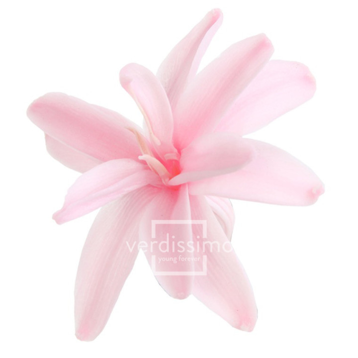 NARDOS PRESERVADO ROSA NAR/14202