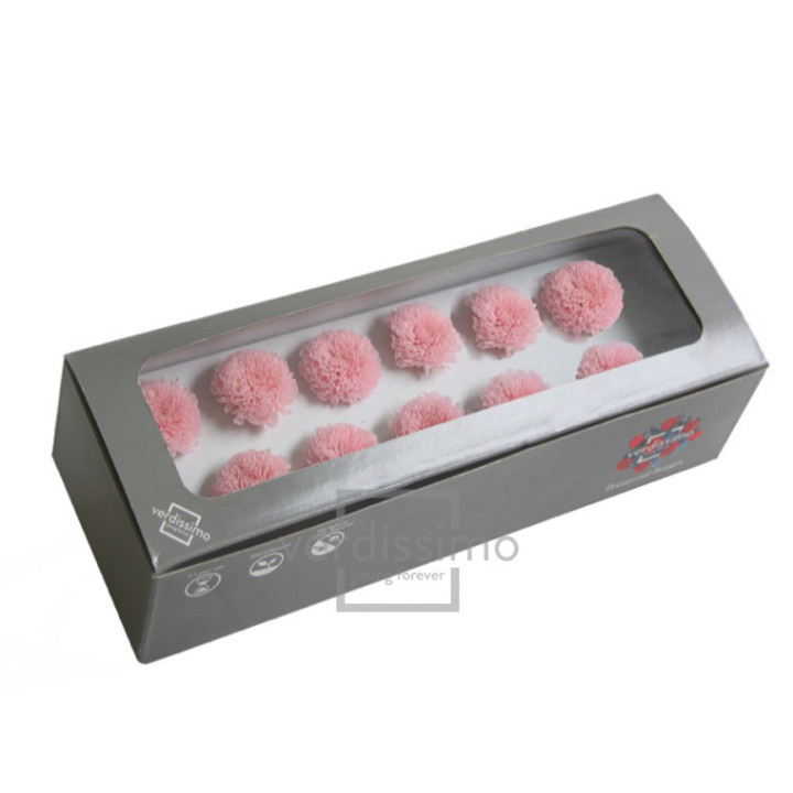 FOCUS PRESERVADO ROSA FOC/24203