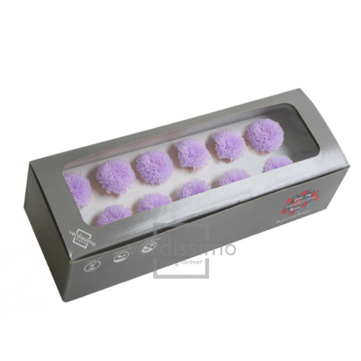FOCUS PRESERVADO LILA FOC/28203