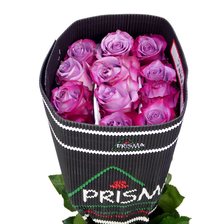 ROSA ECU DEEP PURPLE 602