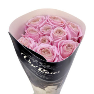 ROSA HOL REBELLION SWEET 701