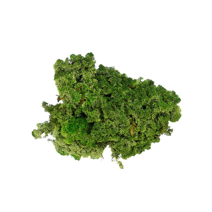 MUSGO POLAR PRESERVADO 1KG MOI/11001