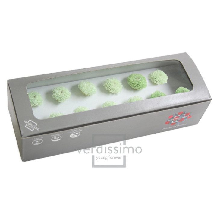 FOCUS PRESERVADO VERDE FOC/21603