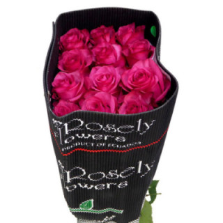 ROSA ECU LOLA 601