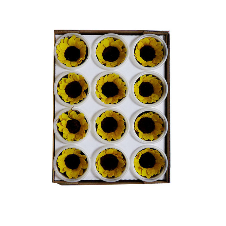 GIRASOL PRESERVADO AMARILLO X122
