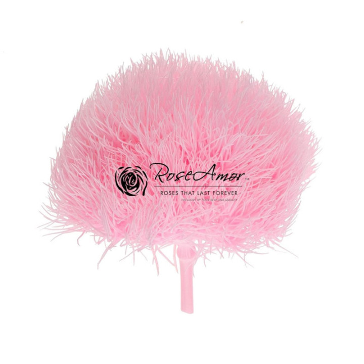 GREEN BALL PRESERVADO PINK 10-12UD1