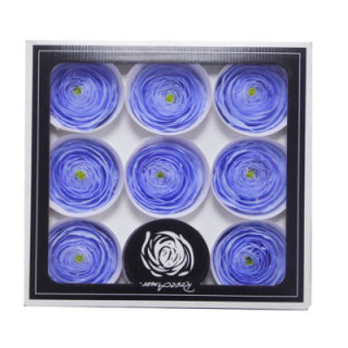 RANUNCULO CLONI PRESERVADO VIOLET X91