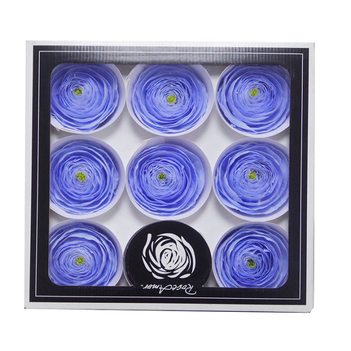 RANUNCULO CLONI PRESERVADO VIOLET X91