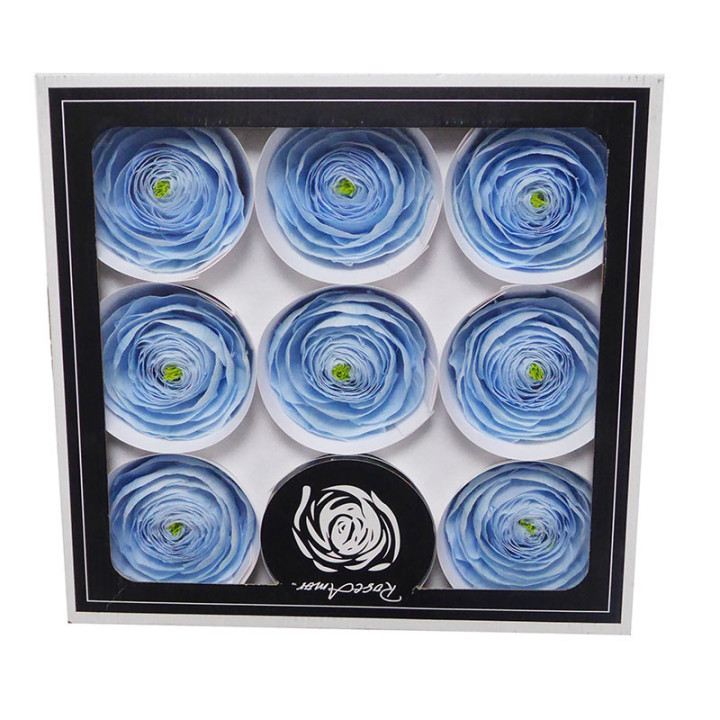 RANUNCULO CLONI PRESERVADO BLUE X91