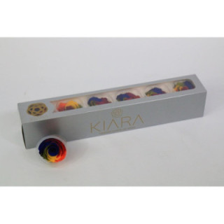 ROSA PRESERVADA RAINBOW 6 UNID1